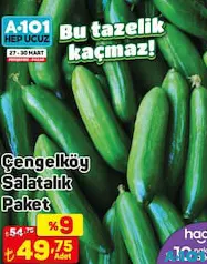ÇENGELKÖY SALATALIK PAKET ÇENGELKÖY SALATALIK PAKET
